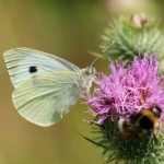 Přírodní půvaby Jižní Moravy – první část