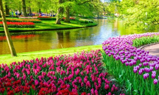 vystava amsterdame