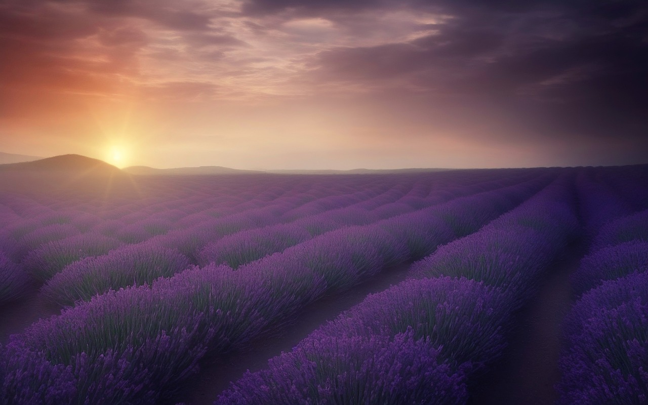 provence