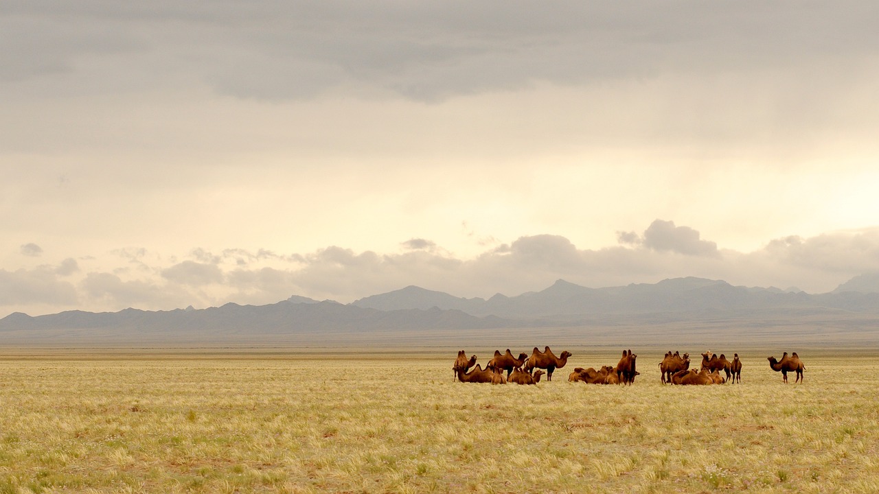 Mongolia